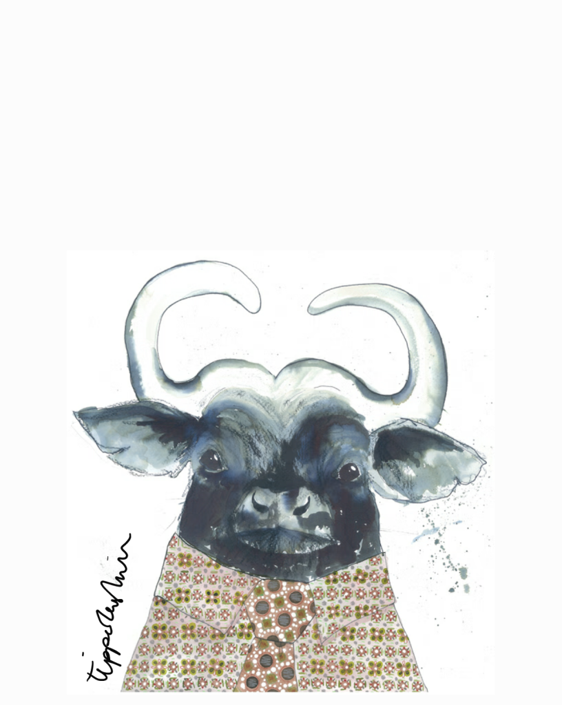 damon-the-buffalo